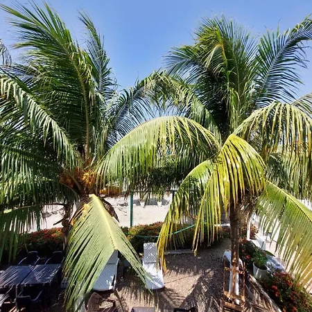 Hotel 3 Banderas Manzanillo Del Mar